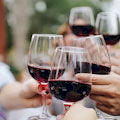 Sonoita Wine Tour from Tucson. LOWEST PRICE!