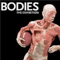 Bodies : The Exhibition at Luxor : SAVE UP TO $7