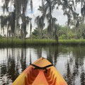 Kayak Rentals at Crystal River Preserve : SAVE 10%