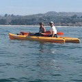 Dana Point Kayak & Walking Tour : SAVE 20% ... FROM $48