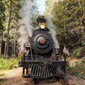 Skunk Train's Days of Steam : SAVE 15%