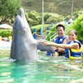 Dolphin Encounter + Sea Life Park