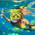 Hanauma Bay Snorkel