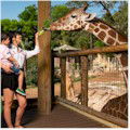 San Antonio Zoo : SAVE 21%