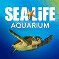 Sea Life Grapevine Aquarium : SAVE $5.00 WITH FREE COUPON!