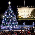 Holiday Lights Tour Washington DC discount coupons