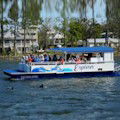 Dolphin Eco Cruise on The Explorer : LOWEST PRICE!