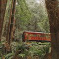 Skunk Train: Pudding Creek Express : SAVE 35%