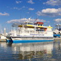 St. Augustine Wildlife and History Boat Tour : SAVE 10%