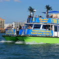 Dolphin Exploration Cruise : $10 OFF ORDERS $100 OR MORE!