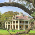 Save up to 20% Off Houmas House Plantation and Gardens