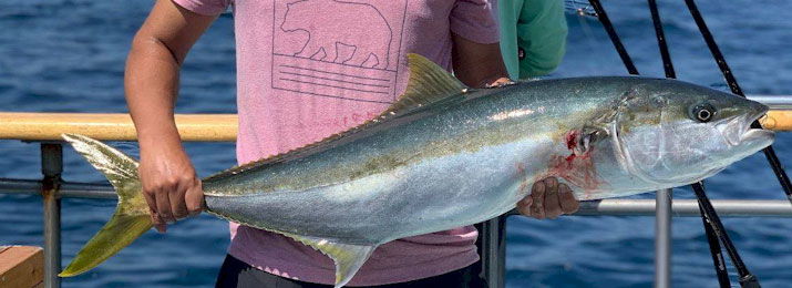 Newport Landing Deep Sea Fishing Discount Tickets