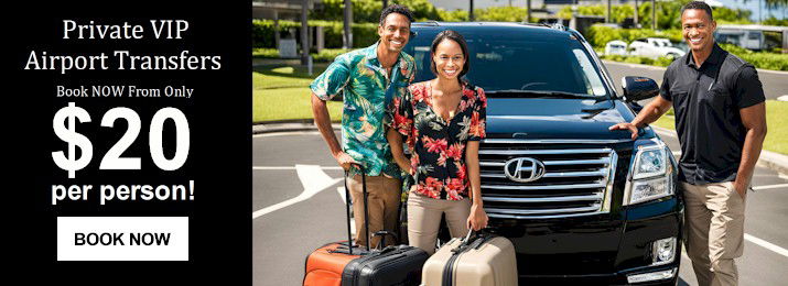 Honolulu Airport Private Car Service. Lowest Price! Buy direct from official website.