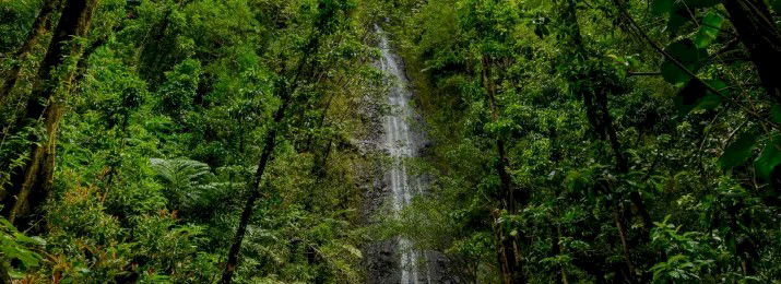 Diamond Head Crater & Hawaiian Waterfall Tour. Save 10% with Discount Code