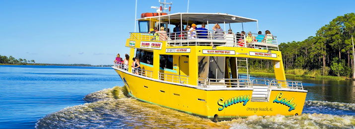 Dolphin Cruise and Sunset Cruise