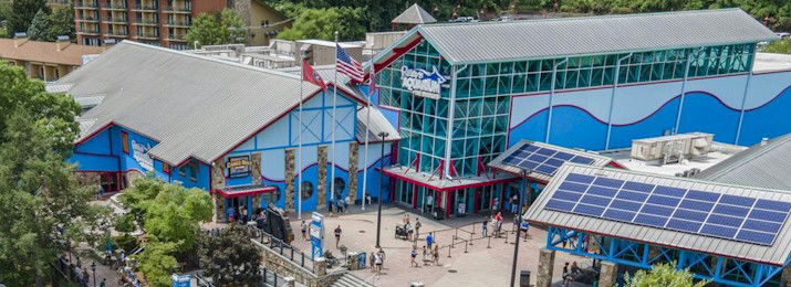 Ripley's Aquarium of the Smokies Gatlinburg. Save up to $70