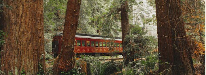 Click here to Save 15% Off The Skunk Train at Fort Bragg