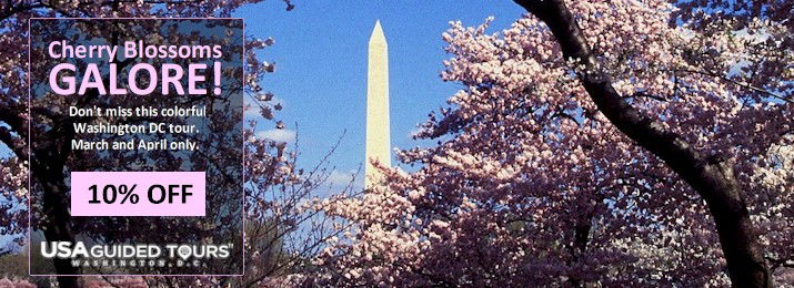 Cherry Blossoms Galore Tour : USA Guided Tours. Save 10% with Coupon Code